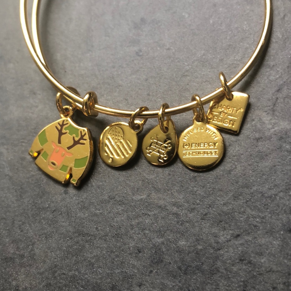 Alex and Ani Winter rain deer 🦌 sweater bracelet - Picture 2 of 3